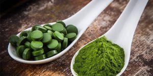So Sánh Tảo Xoắn Nhật Bản Và Việt Nam
